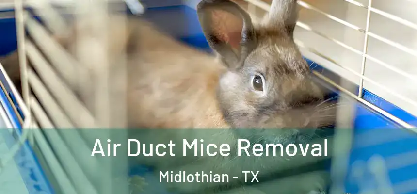  Air Duct Mice Removal Midlothian - TX