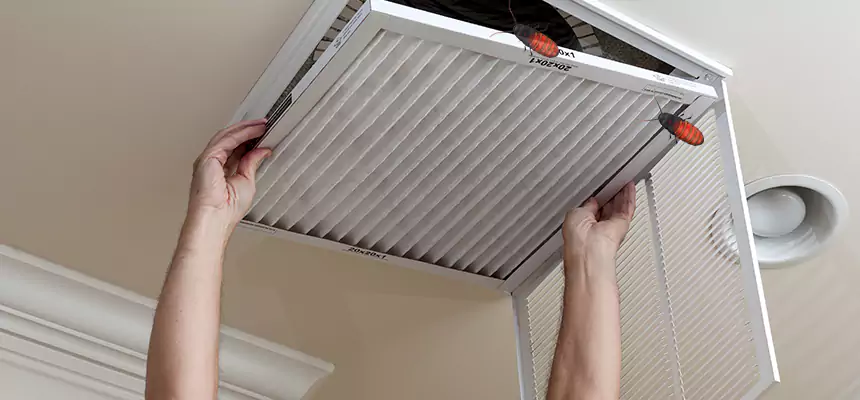 Preventive Cockroach-Proofing for Ducts in Midlothian