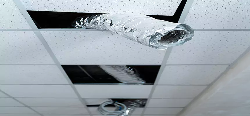 Affordable HVAC Sanitizing After Pest Removal in Midlothian