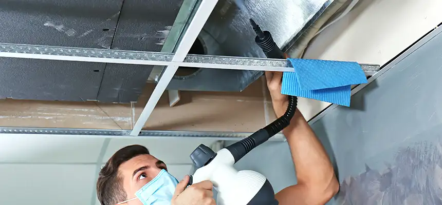 Our Air Duct Rodent Removal Services in Midlothian, TX