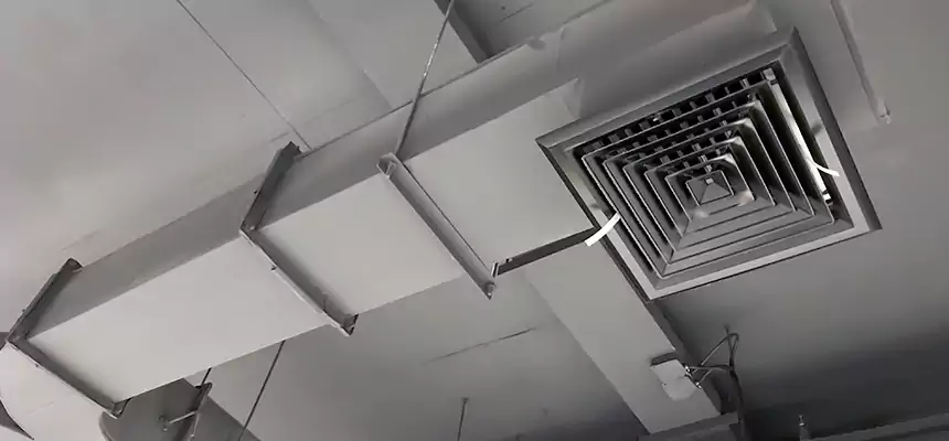 Restorative Allergy Relief Vent Cleaning – Coil, Blower & Housing Detail in Midlothian