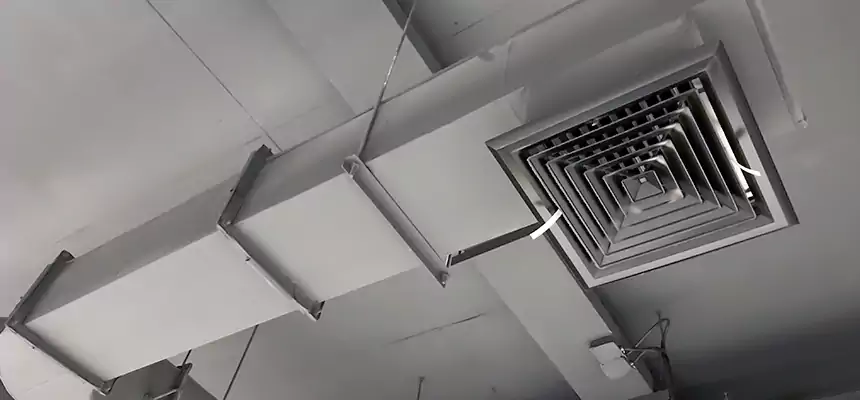 Our Pest Removal From Ducts Services in Midlothian, TX