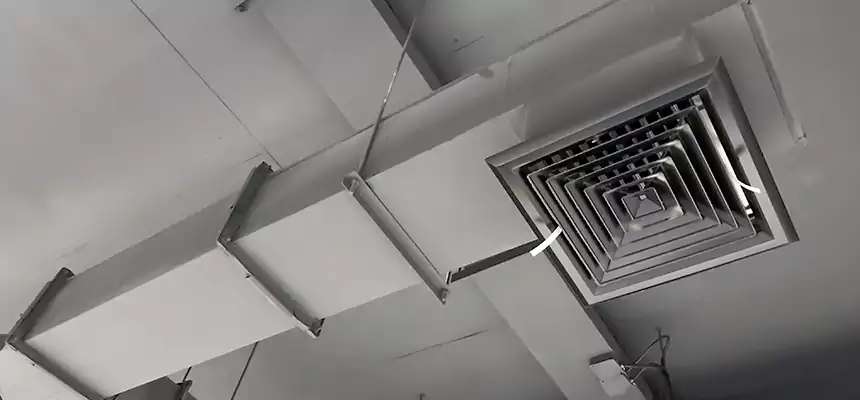 Our Rodent Droppings In Vents Services in Midlothian, TX