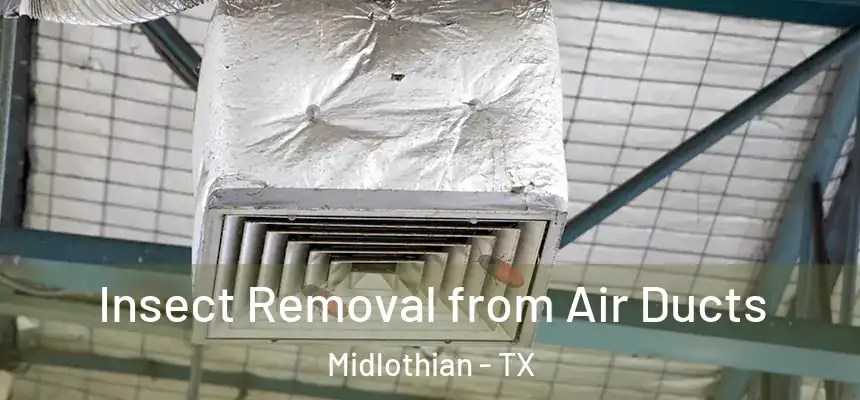  Insect Removal from Air Ducts Midlothian - TX