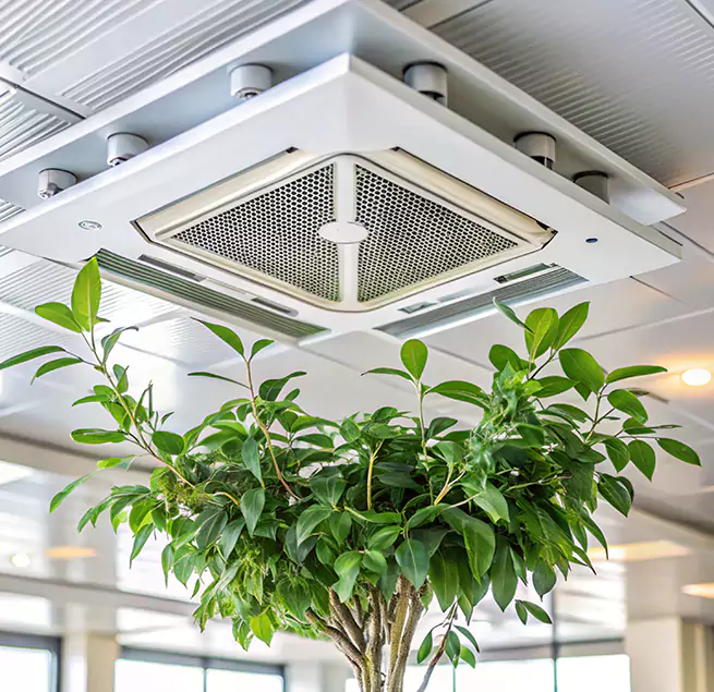 Why Homeowners & Businesses Trust Us in Midlothian, TX?