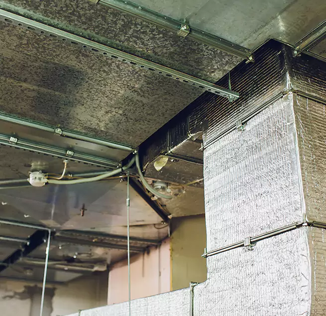 Why Homeowners & Businesses Trust Us in Midlothian, TX?